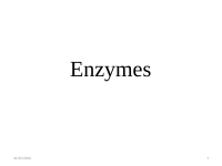 chapter 4 Enzymes.pdf